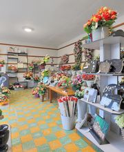 Gosset Léon image 17