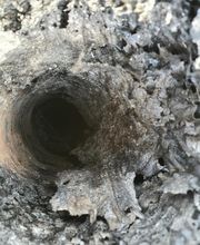 Bftraitement image 19