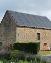 As Sunny Berry image 4