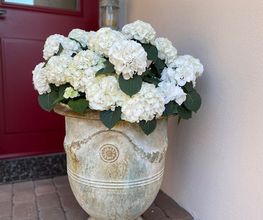 petite fleur gmbh Bild 2