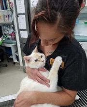 Animal Urgent Care image 8