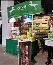 HORSANA Reitsport AG Bild 5