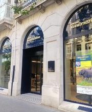 Grand azulmarino imagen 4