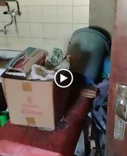 KS Expert Solutions Débarras Maison Appartement Locaux Saint-Etienne image 13