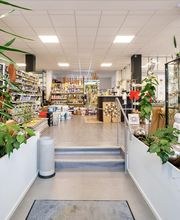 Panarotto SARL image 10