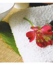 SALVEO Physiotherapie Bild 4