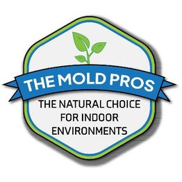The Mold Pros of Florida