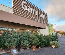 GAMM VERT image 3