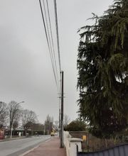 Artisan Elagueur David image 3