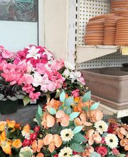 Natera - Ledergues image 5