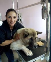 À la Maison du Toilettage image 14