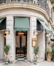 Splendido image 2