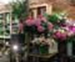 Boutic'Flor image 1
