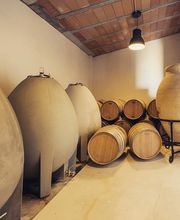 Sedella vinos SL imagen 8