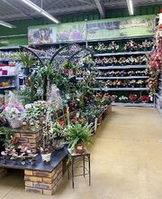 Bricomarché Foix image 9