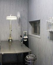 Veterinario Alcorcón imagen 16