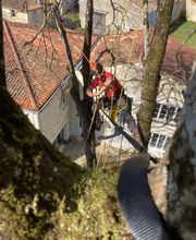 Tachet Pierre-Hubert image 7