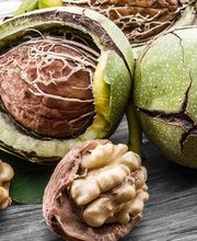 Sté Les Vergers Des Coteaux Du Périgord image 3