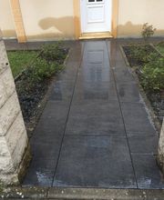 Demir Ali image 3