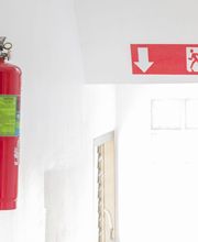 Xetames S.L. imagen 3