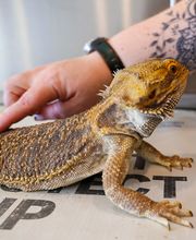 Dublin Veterinary Hospital image 15