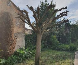 Le jardin de Paul image 7