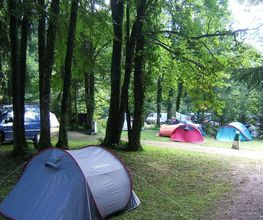 Camping de la Forêt image 10