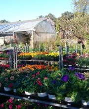 Les Jardins D'Alexandre image 18