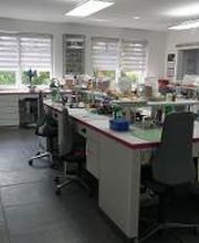 Dentallabor Georgiev Bild 3