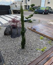 Marchitti Paysage image 4