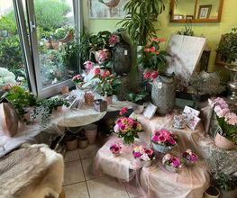 Blumengeschäft Efeulaube Bild 5