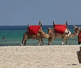 Djerba