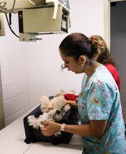 Pound Ridge Veterinary Center image 12