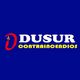 LOGO-DISUR.png