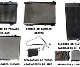 6437156-1-oTnG0OiZaU1725042216810.jpeg