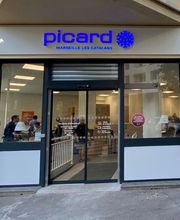 Picard image 3