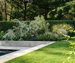 Mint Gardens Bild 9