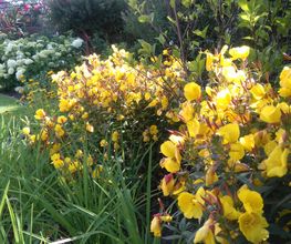 Gartenpflege Hannover von GreenFairway e.K.