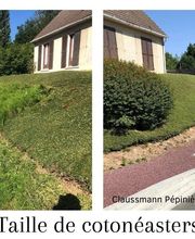 Claussmann Pépinières Et Paysages image 3