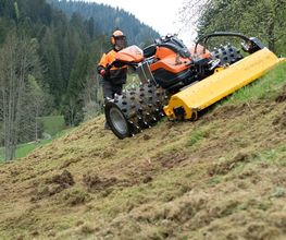 Weigold Landschaftspflege Bild 3