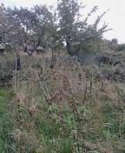 Chebance Bertrand image 4