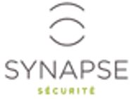 SYNAPSE INVESTIGATION