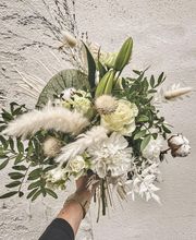 Couleur Nature image 4