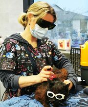 Cabinet Vétérinaire Karen Charlet image 6