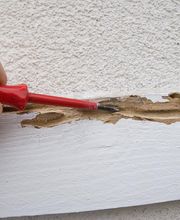 TRATAMIENTOS PLAGUINSA imagen 4