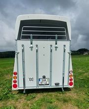 Baumipferdetransport Bild 1