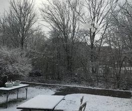 SEEKIND Bild 5