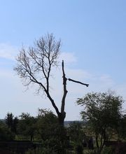 Art'Vertical image 1