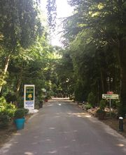 Pépinières et Paysages Brotonne SARL image 7