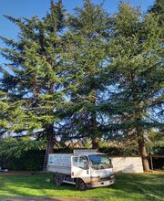 Guerro Elagage image 3